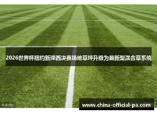 2026世界杯纽约新泽西决赛场地草坪升级为最新型混合草系统